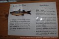 Gens de Garonne (64)